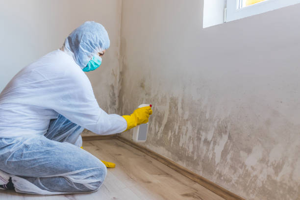 Commercial Mold Remediation assessment for commercial property in Bear Creek